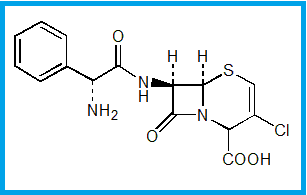 CEFACLOR EP IMPURITY D